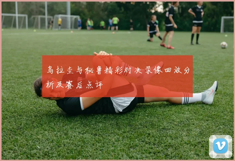 乌拉圭与秘鲁精彩对决录像回放分析及赛后点评