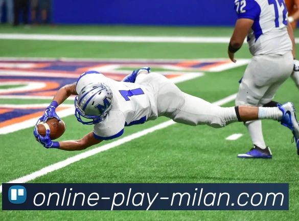 米兰体育APP 封面图